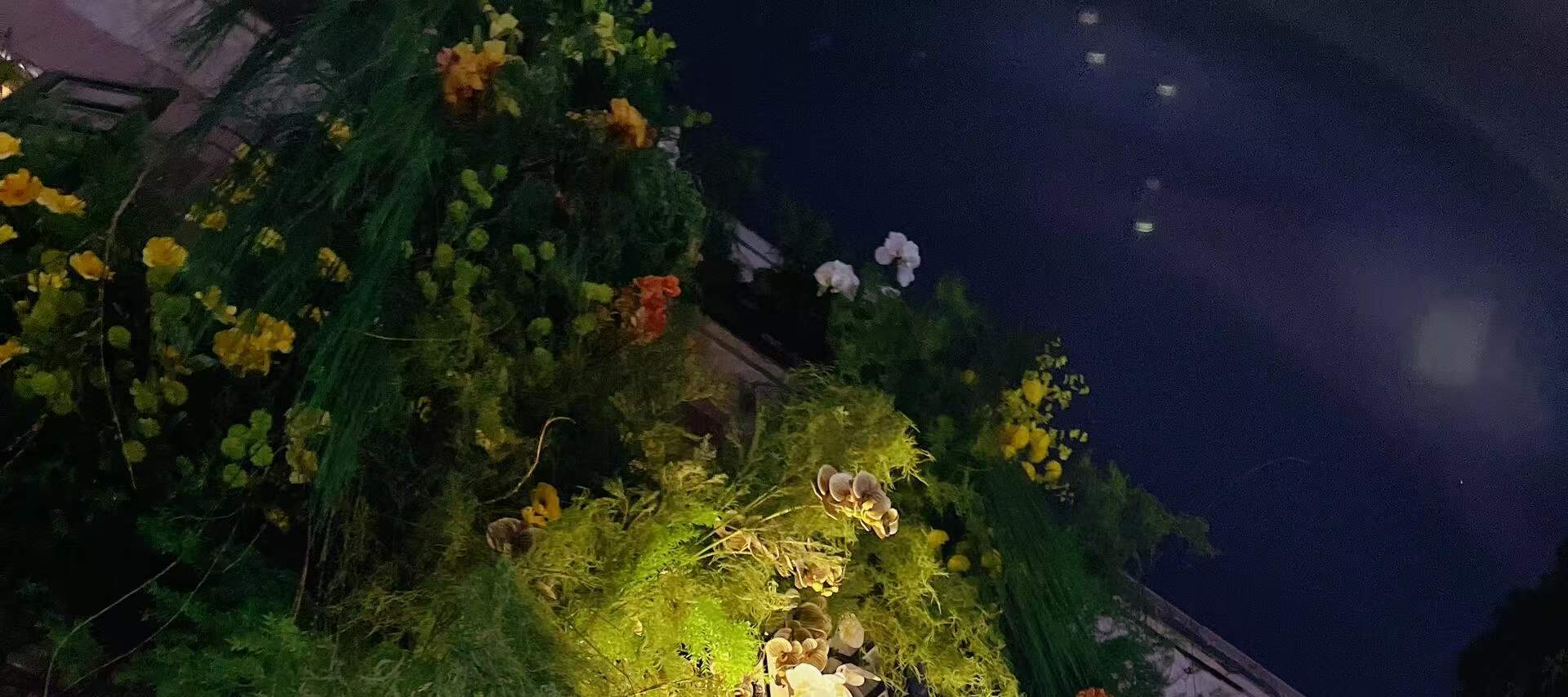 森·ธรรมชาติบำบัดสปา | สาขา Dongshankou